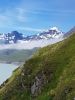 IMG-20210801-WA0007.jpg